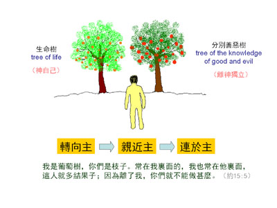 預覽